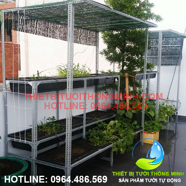 lắp đặt hệ thống tưới vườn rau trên sân thượng
